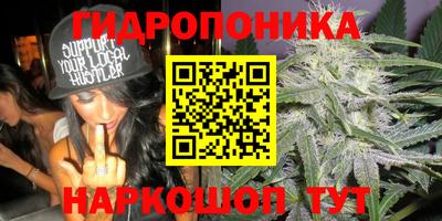 Альфа ПВП Мариинск
